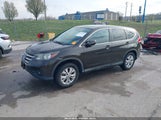 Miniaturka zdjęcia 2