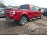 Ford F-150 Xlt 1FTFW1ET1EFB83186 снимка
