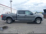 Ford F-150 Xlt 1FTFW1EF2GKE87664 снимка