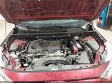 Toyota Rav4 Xle JTMP1RFV3KJ017939 снимка