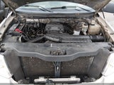Ford F-150 Fx4/Lariat/Xlt 1FTPW14556FA10408 fotografie