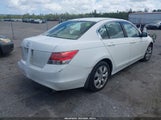 Honda Accord 2.4 Ex-L 1HGCP268X8A138427 photo