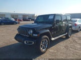 Jeep Wrangler Unlimited Sahara 4X4 1C4HJXEN6MW695570 fotografie