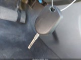 Miniaturka zdjęcia 11