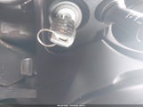 Miniaturka zdjęcia 11