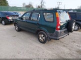 Miniaturka zdjęcia 3