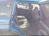 Subaru Forester Wilderness 4S4SLDL65T3036224 снимка