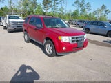 Ford Escape Xlt 1FMCU0DG7BKA05336 fotografie