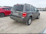 Ford Escape Xlt 1FMCU0D73BKB11993 fotografie
