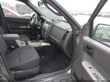 Ford Escape Xlt 1FMCU0D73BKB11993 fotografie