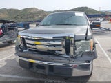 Ford F-150 King Ranch/Lariat/Platinum/Xl/Xlt 1FTPW12V49FA61664 снимка