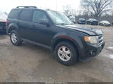 Ford Escape Xlt 1FMCU0D78BKA73788 fotografie