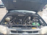 Ford Escape Xlt 1FMCU0D78BKA73788 fotografie
