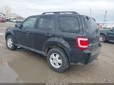 Ford Escape Xlt 1FMCU0D78BKA73788 fotografie