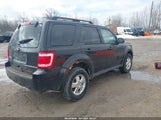 Ford Escape Xlt 1FMCU0D78BKA73788 fotografie