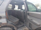 Ford Escape Xlt 1FMCU0D78BKA73788 fotografie