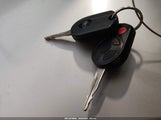 Miniaturka zdjęcia 11