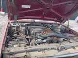 Ford Bronco U100 1FMEU15H2LLA92256 снимка
