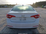 Hyundai Sonata Sport 5NPE34AF4FH213245 photo