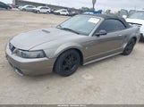 Ford Mustang 1FAFP44452F117444 снимка