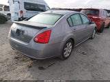 Nissan Maxima 3.5 Sl 1N4BA41E08C807139 снимка