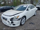 Nissan Maxima 3.5 Sv 1N4AA5APXEC446789 снимка