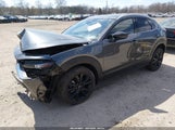 Mazda Cx-30 2.5 Turbo Premium Package 3MVDMBDY7RM622878 fotografie
