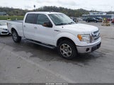 Ford F-150 Fx4/Harley-Davidson/King Ranch/Lariat/Platinum/Xl/Xlt 1FTFW1EV6AKE54696 снимка
