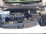 Miniaturka zdjęcia 10