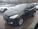 Miniaturka zdjęcia 2