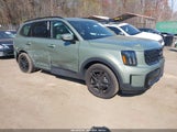 Kia Telluride Sx Prestige X-Line 5XYP5DGC5RG484374 fotografie