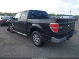 Ford F-150 Xlt 1FTFW1CT4DFD45782 снимка