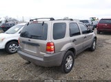 Ford Escape Xlt 1FMYU04151KB98960 снимка