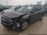 Miniaturka zdjęcia 2