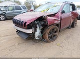 Jeep Cherokee High Altitude 1C4PJLDB4GW377155 снимка