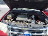 Ford Escape Xlt 1FMCU0DG8BKB95311 fotografie