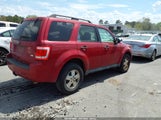 Ford Escape Xlt 1FMCU0DG8BKB95311 снимка