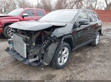 Toyota Rav4 Xle JTMW1RFVXKD012280 снимка