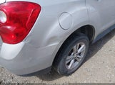 Chevrolet Equinox 1Lt 2GNFLFEK3E6169093 снимка