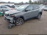 Jeep Compass Trailhawk 4X4 3C4NJDDB2NT105820 снимка