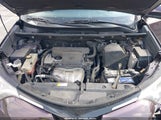 Toyota Rav4 Xle 2T3WFREV5JW435174 снимка