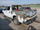 Ford F-150 Xl/Xlt 1FTEW1E89AFD63498 снимка