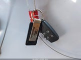 Miniaturka zdjęcia 11