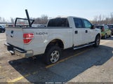 Ford F-150 Xlt 1FTFW1ET4DFD43088 снимка