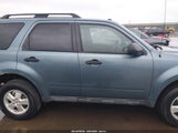 Ford Escape Xlt 1FMCU0DG5BKB89823 снимка
