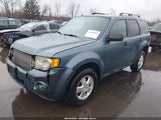 Ford Escape Xlt 1FMCU0DG5BKB89823 fotografie