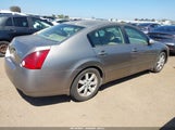 Nissan Maxima 3.5 Sl 1N4BA41EX6C850772 снимка