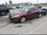 Honda Accord 2.4 Ex-L 1HGCP2F83AA038501 снимка