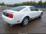 Ford Mustang V6 Deluxe/V6 Premium 1ZVFT80N275198747 fotografie
