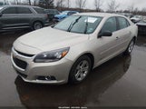 Miniaturka zdjęcia 2